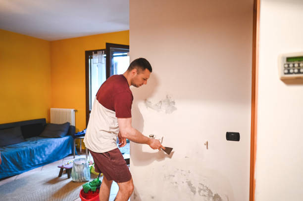 Best Kitchen Mold Remediation in Verandah, FL